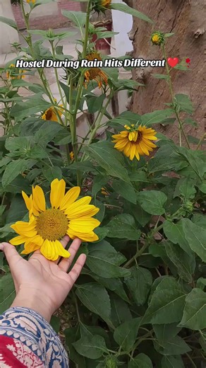 ❤️❤️#trending #Viralvideo #foryoupageofficial #bsnstudent #foryoupageofficial