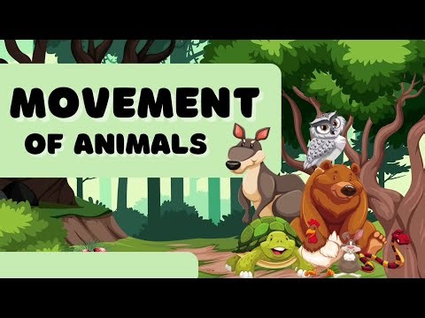 Movement of Animals || Science Lesson for Kids