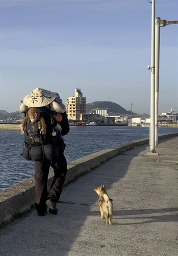 Exploring Kyushu: My Journey to Honshu