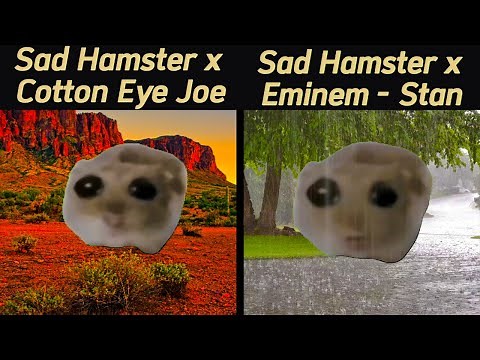 Sad Hamster (Cotton Eye Joe x Eminem - Stan)