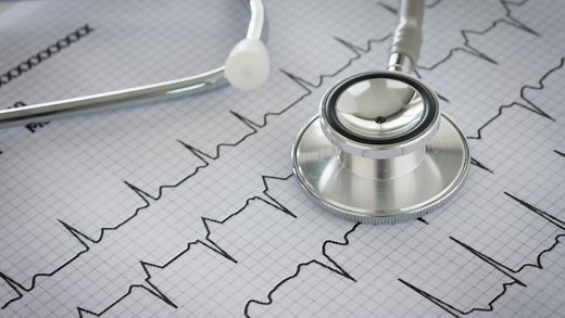 Cardiovascular Sciences | King's College London