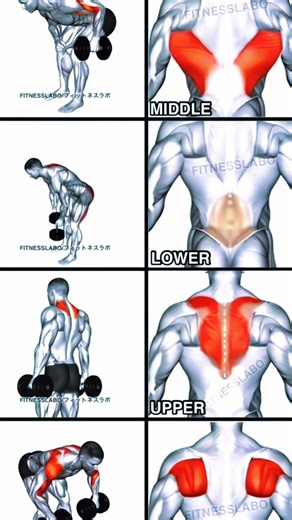 four dumbbell full back workout 💪#fullbackworkout #shorts #exercise #workout #backworkout