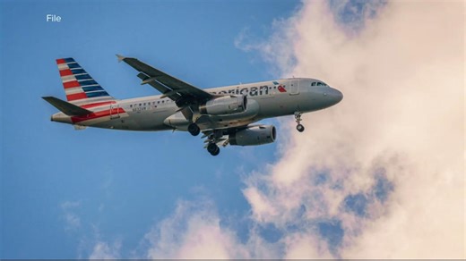 Passengers duct tape man who allegedly tried to open door on flight: Officials