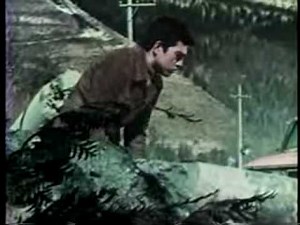 Godzilla fights Anguirus - Diasterpiece Theatre "Godzilla vs. The Cosmic Monster" pt.3