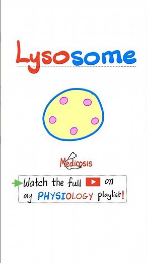 Lysosome - Cell Organelles - Biology and Physiology...#biology #education #science #chemistry