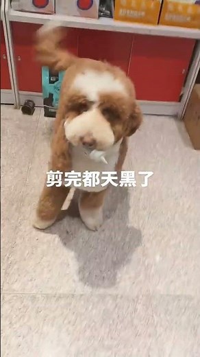 Extreme Body Art: The Shocking Truth Behind My Hand-Cut Tattoo Transformation