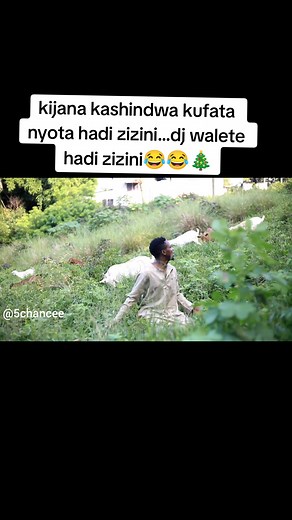 Wajomba Wa Mtoto Yesu Hadi Zizini: Burudani ya KiTanzania