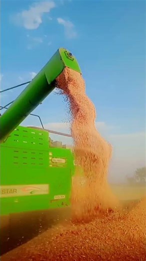 farming life haryana