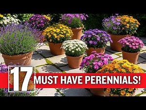 17 Perennials That THRIVE in Containers/Pots With ZERO Effort. JUST PLANT ONCE!