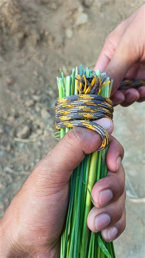 Simple vegetable knotting techniques