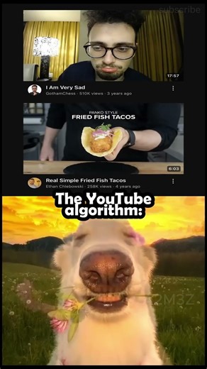 The YouTube Algorithm 🐶 #memes