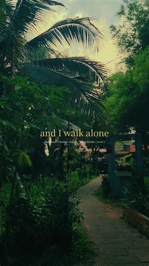 I walk alone #walkthrough #alone #music #lyrics