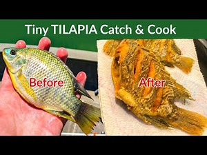 Cast Netting Tilapia (Catch and Cook) Lake Mead