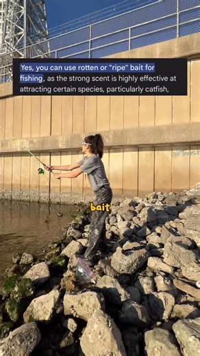 Made By Sillo🍴 | another silly little fishing vlog 🎣 | Instagram