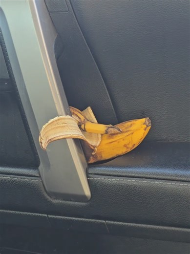 Michelle Marie Martin (@michellemariemartin)’s videos with original sound - Michelle Marie Martin