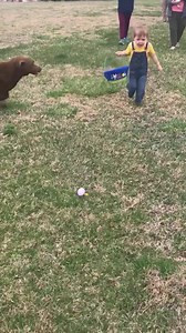 27K views · 103 reactions | HAPPY EASTER from Funny Videos! Hope everyone is as excited to hunt for those eggs as this little guy! Want to be featured? Message us videos you filmed to be featured on the page! | Funny Videos | Facebook