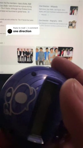 Radica 20Q Game Fails to Guess One Direction