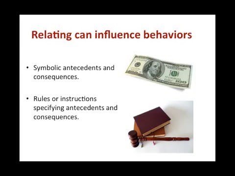 RFT Basics: The Steps of Learning Language and Cognition