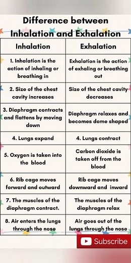 #difference between Inhalation and Exhalation