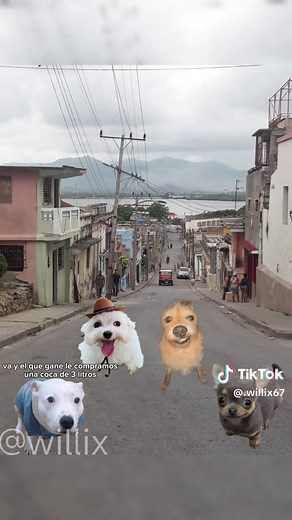 Historias de Perros: Memes que Te Harán Reír