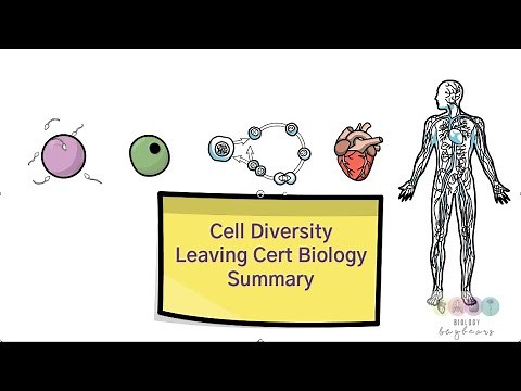 Cell Diversity Summary-Leaving Cert Biology