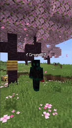 Minecraft just changed forever #minecraft #mc #tinytakeover #minecraftupdate #minecraftshorts