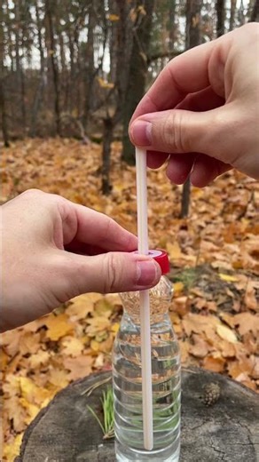 This genius water trick will amaze you #bushcraft #camping #survival