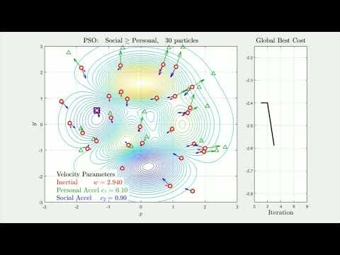 Particle Swarm Optimization - Social greater than Personal