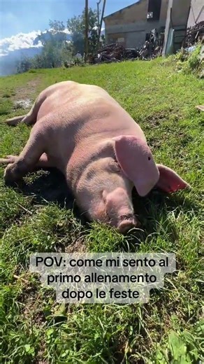 Pov: non è un pov 🤣😂😁 #shortsfeed #shortsvideo #shorts #feed #funny #meme #top99tv #perte #fyp