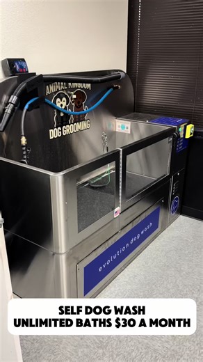 Self Dog Wash Vlog: Tips for At-Home Dog Grooming