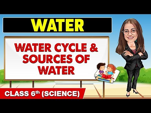Water - Part 1 || Class 6th Science || Champs Pro