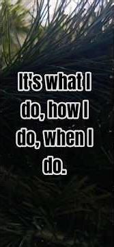 #shoprite #samedaydelivery #shopfromhome #shorts