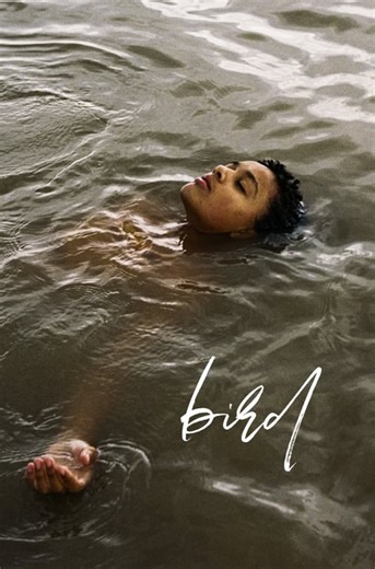 Stream Bird (2024): Find it on Netflix, Prime Video, Hulu & more