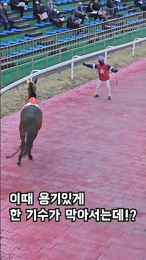 경마 예시장에서 일어난 일! 사고 날 뻔??
