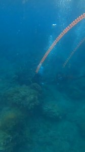 12 Meter 10hour Portable Scuba Diving Equipment Diving Underwater Breathing Ventilator Air Compressors for Fish Diving Equipment