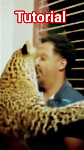 #TUTORIAL#💐🙏🫶