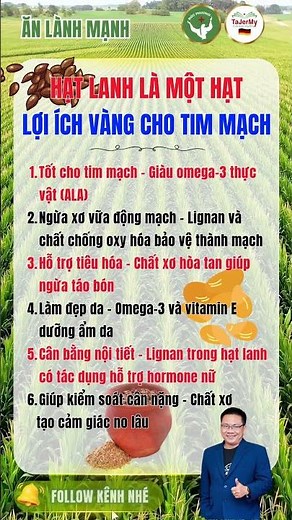 194. SỰ THẬT: Hạt Lanh là một hạt Lợi Ích Vàng Cho Tim Mạch - ĂN LÀNH MẠNH