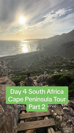 Cape Town Peninsula Tour: Stunning Views, Penguin Encounters, and Scenic Walks
