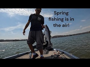 Striped bass and largemouth bass fishing on Smith Mountain Lake. Hardest fish hit of my life!