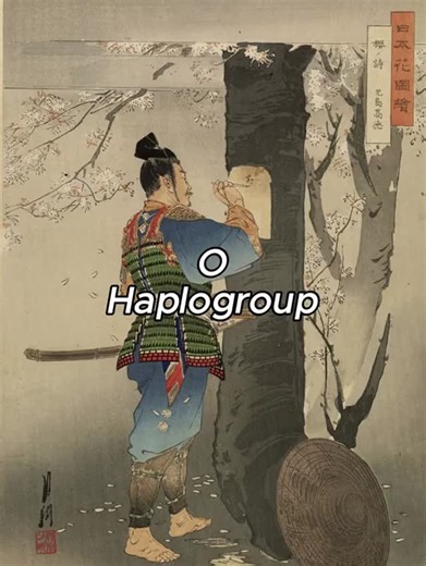 @dna.uncovered on Instagram: "🔥🧬 Haplogroup O: The Father Line of East & Southeast Asia 🧬🔥 Haplogroup O is one of the most influential Y-DNA lineages in the world — carried by hundreds of millions of men today 🌏 It’s especially common across East Asia and Southeast Asia — including Han Chinese, Vietnamese, Thai, Filipino, Korean, and Japanese populations — as well as many Indigenous groups in the region 🇨🇳🇯🇵🇻🇳🇵🇭🇰🇷 Historically, Haplogroup O is linked to the early Neolithic farmers