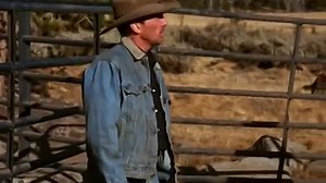 Straight From The Heart 2003