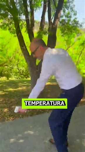 Efecto de los Árboles en la temperatura de la Ciudad