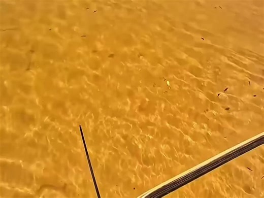 Character Analysis of Nice Shot Budd in Bounty Hunting