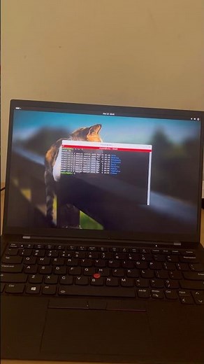 Debian 13 gnome desktop on thinkpad X1 with touchscreen