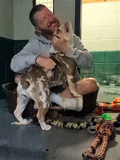I met a lovely little lady called Pearl today 🥹 If you didn't already know, I started my own rescue, Pabs & Pals, last year. ❤️ It was only possible because of every single one of you who followed Pablo and Diego over the years. Your support turned my dream into reality. We've already helped so many dogs find loving homes, and we're only just getting started. 🐾 If you're not following Pabs & Pals yet, I'd love for you to come and join us. Every follow helps us reach more people and change more