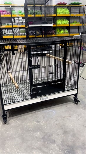 Breeding Cage Review: Amazing Quality for Your Pets