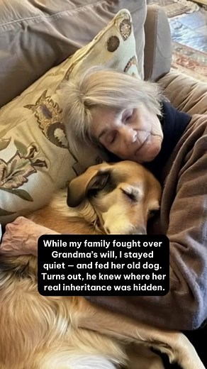 When Grandma passed, the house turned cold before the lights even went out. My aunts and uncles showed up with calculators, not condolences — arguing over who got the lake cabin, the jewelry, the car. I stayed quiet. I just wanted to take care of Max — Grandma’s old golden retriever who hadn’t eaten since the funeral. Every night, he’d lie beside her armchair, whining softly. On the fifth night, he scratched at the rug — the same spot he used to nap on while Grandma read. I tried to stop him… un