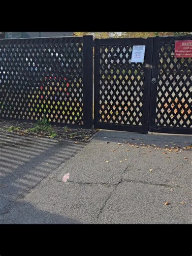 Happy Halloween 🎃 For all your waste clearance needs please give us a call for a free, no obligation quote. Multiple loads collected and disposed of this week from a local primary school - we've all license documentation available to view (also see gov website for live license info) and full public liability insurance for peace of mind. 🧙‍♂️ Nick - 07516634112 | Winfield Clearance and Recycling