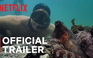 Mein Lehrer, der Krake