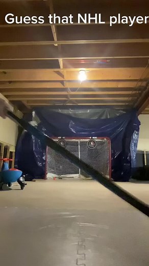 Guess the NHL Player - Pacific Division Allstars for Anaheim Ducks